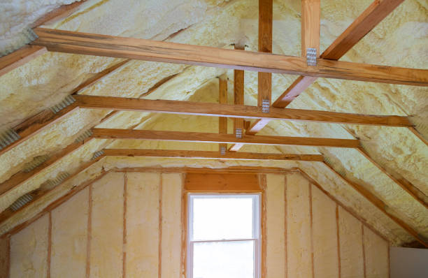 Best Spray Foam Insulation in Cambridge, MN